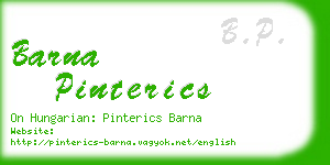 barna pinterics business card